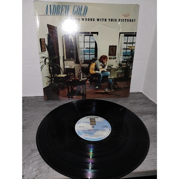 Andrew Gold - What's Wrong with This Picture Vinyl Record 1976, Asylum, 7E-1086 - Picture 1 of 6
